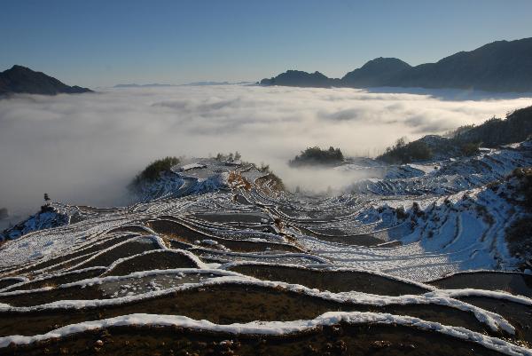 Terraced fields after snowfall