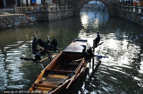 Ten dreamlike water towns in China