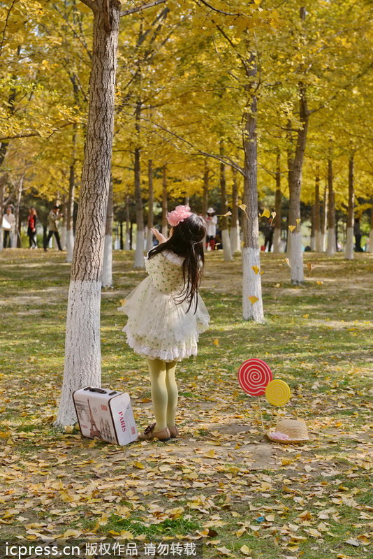 Autumn colors around China