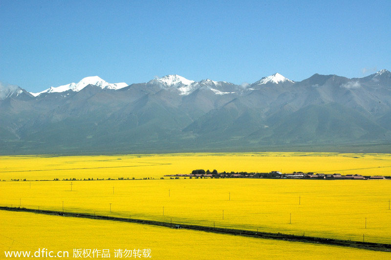 Top 10 flower viewing destinations