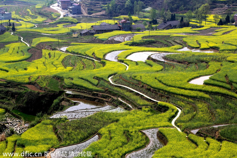 Top 10 most beautiful terraces in China