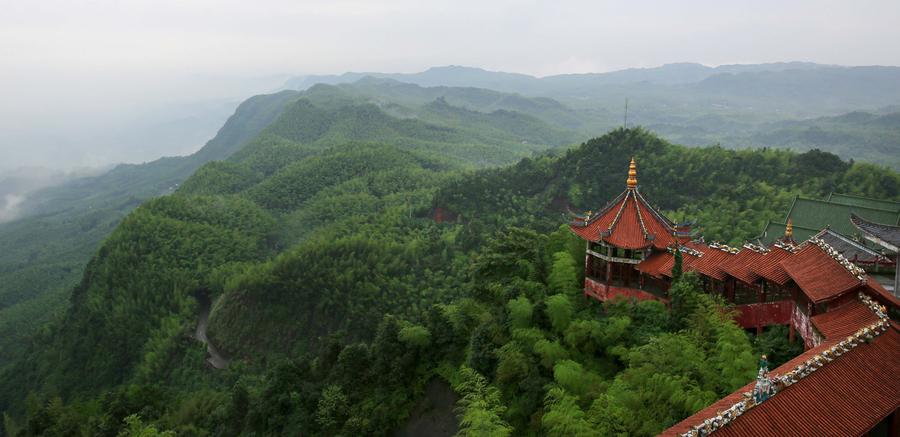 Scenery of Bamboo Sea in Sichuan