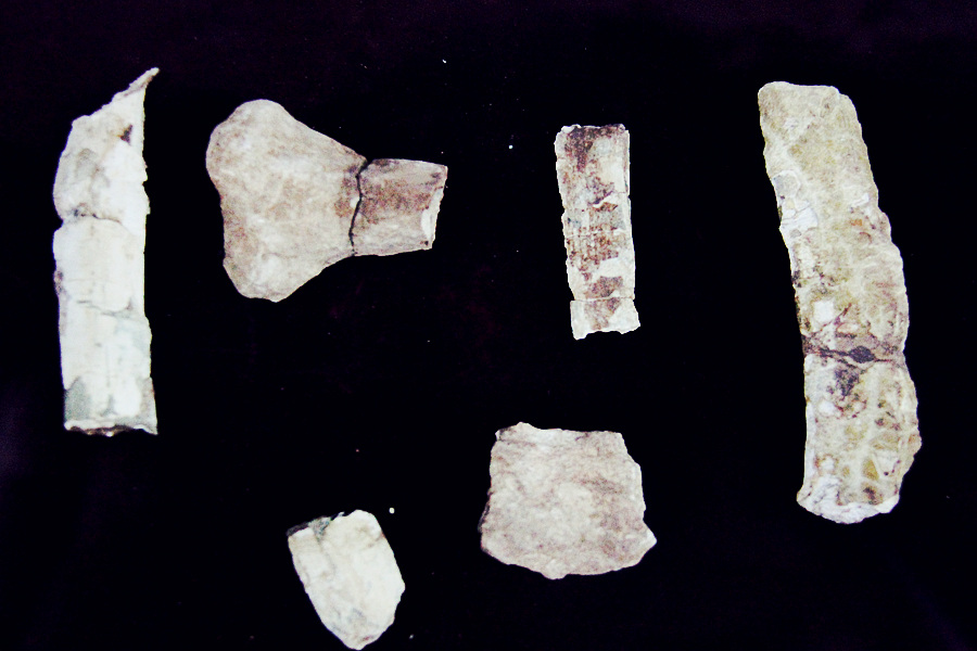 Top attractions in Nanyang