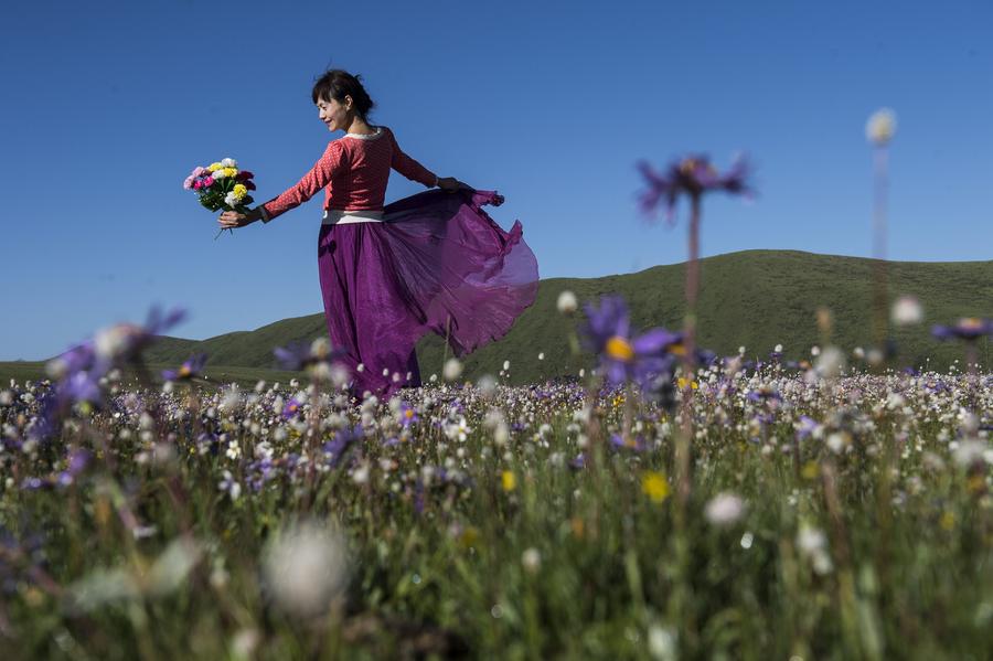 Scenery of Emutang Pasture in Sichuan