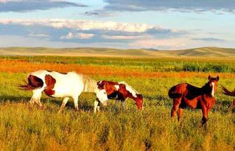 Inner Mongolian road trip