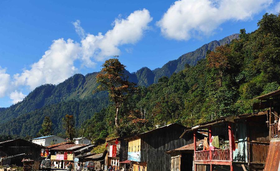 Scenery of Medog county in Tibet