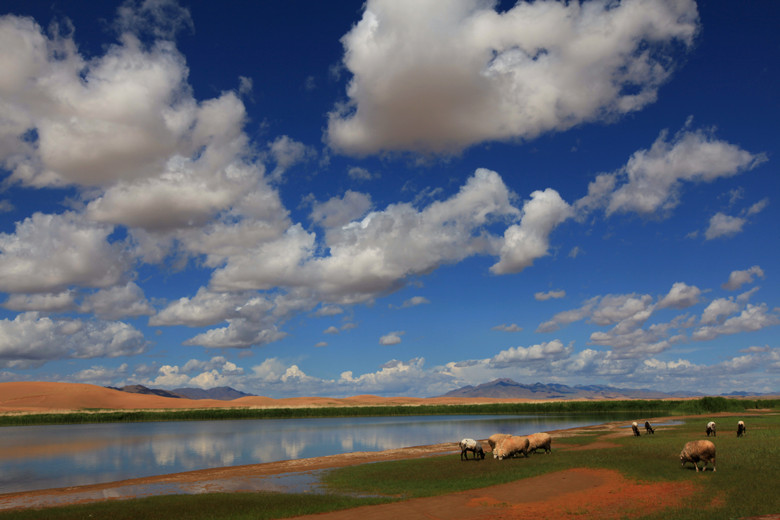 Beautiful 'Golden Sea' in Qinghai