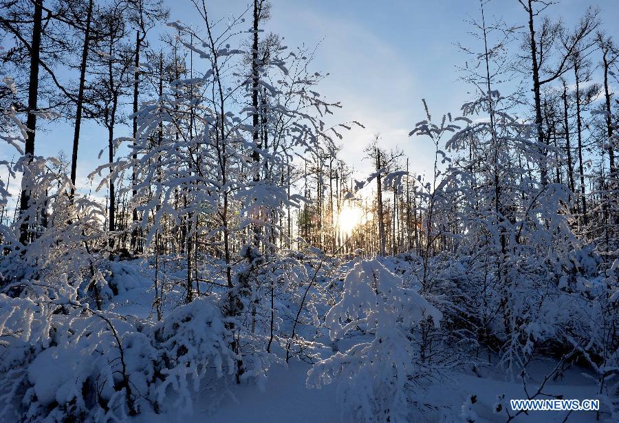 Winter scenery of Moridaga Forest Park