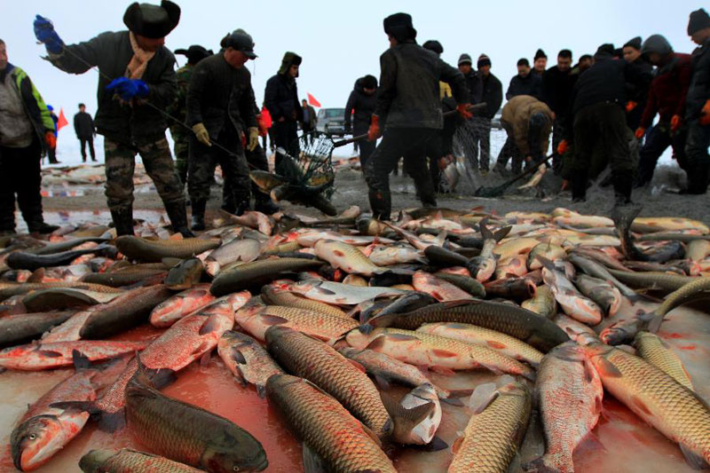 Winter fishing kicks off in Xinjiang