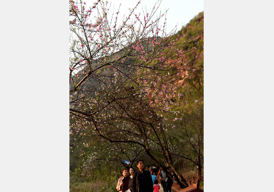 Bamei village attracts crowds with its nature