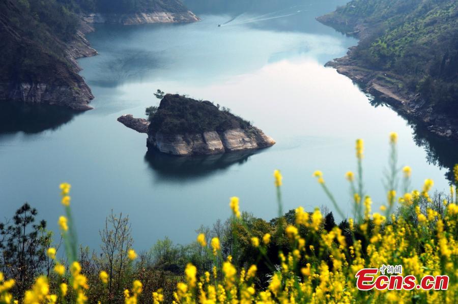 Giant 'tortoise' surfaces in Three Gorges Reservoir