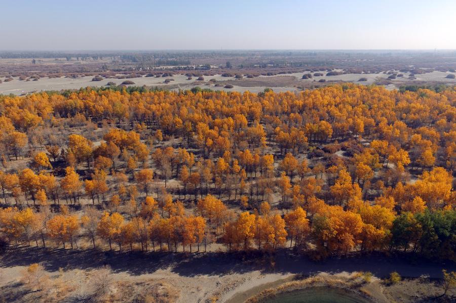 Autumn scenery of Badain Jaran Desert