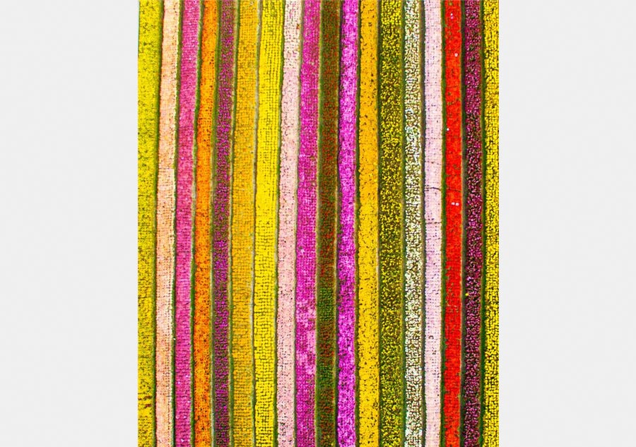 Bird's-eye view of colorful landscape in Shanghai