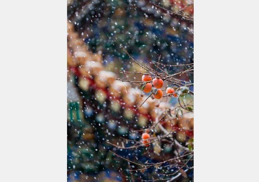 Palace Museum coated in snowfall, a poetic twist to the attraction