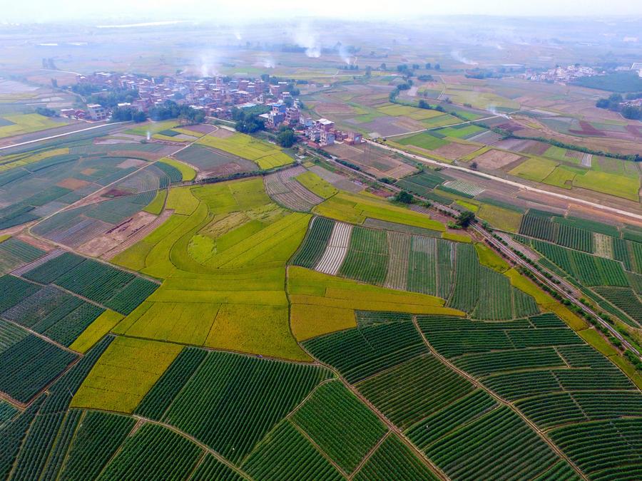 Bird's-eye view of farmlands in Guangxi