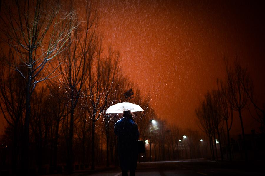 Snowfall hits most parts of Qinghai in NW China