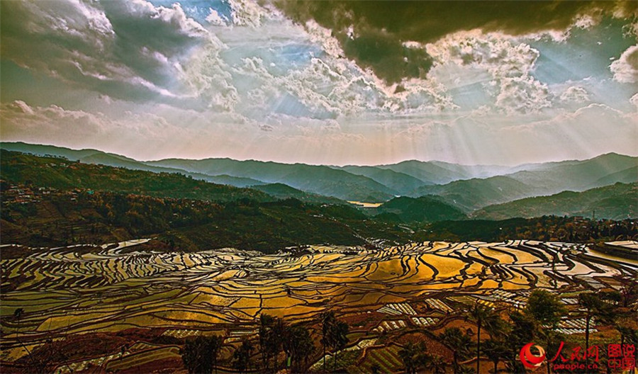 Magnificent view of Hani terraced fields in SW China