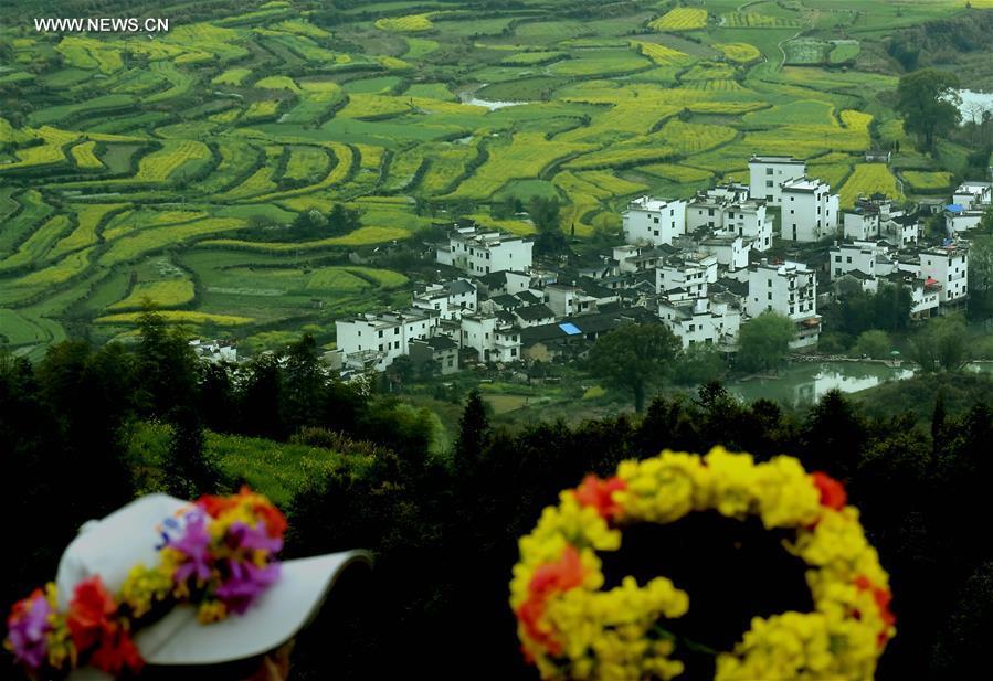 China perfects art of building terraced fields