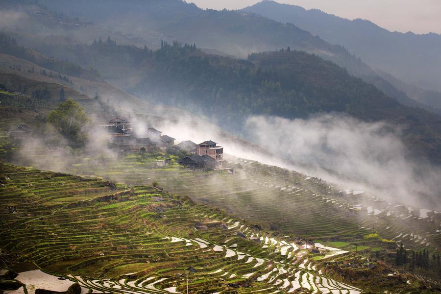 Terraced fields in S China