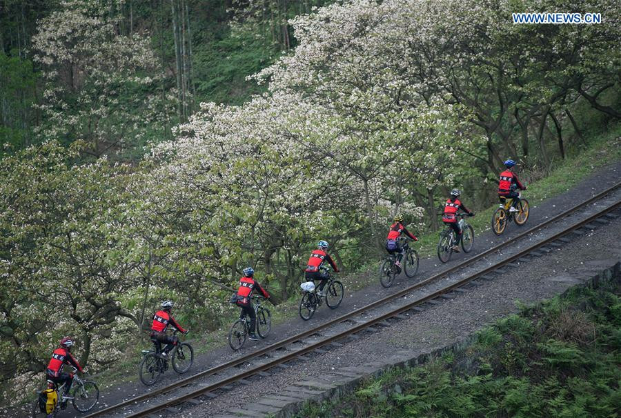 Steam train in Southwest China keeps operation, boosts tourism