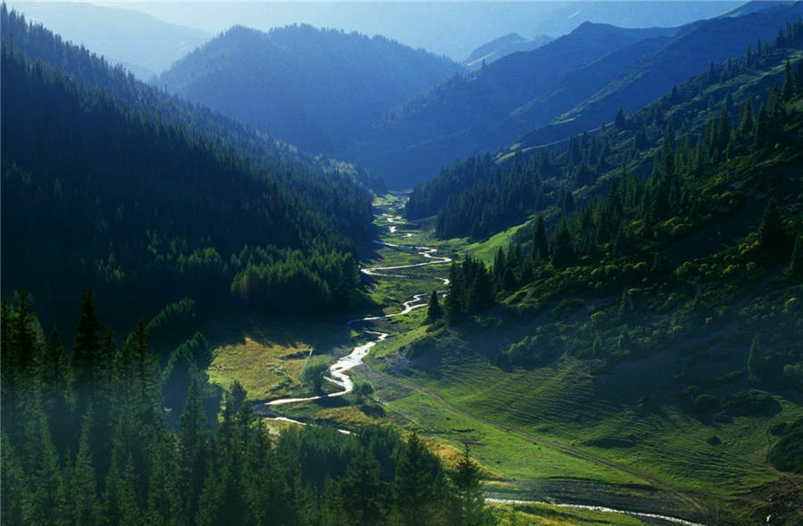 Bloomy Tacheng: A beautiful tourist attraction