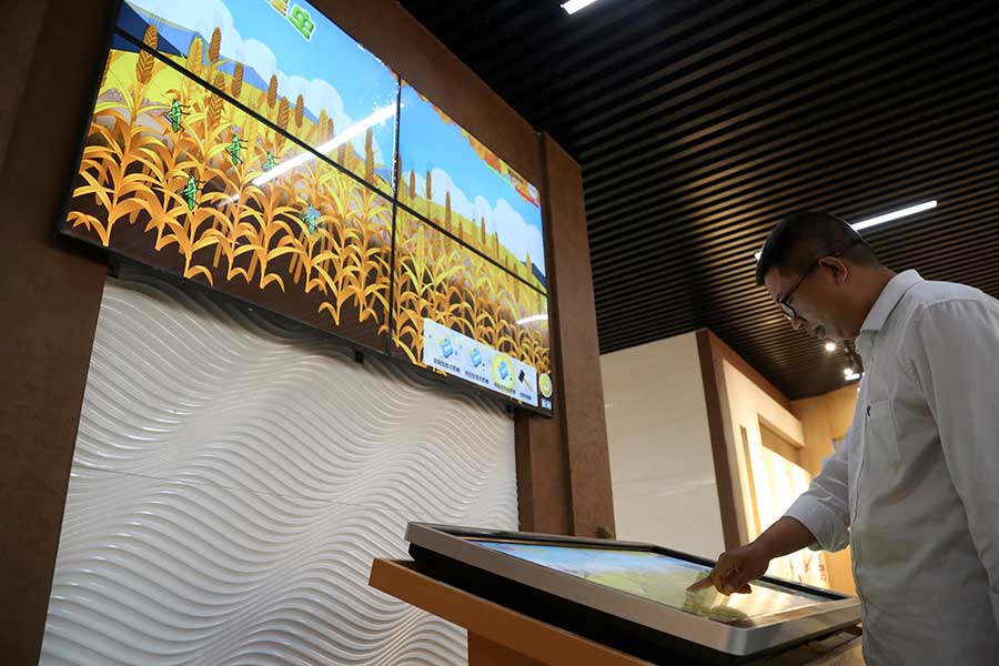 First wheat museum opens in Henan province