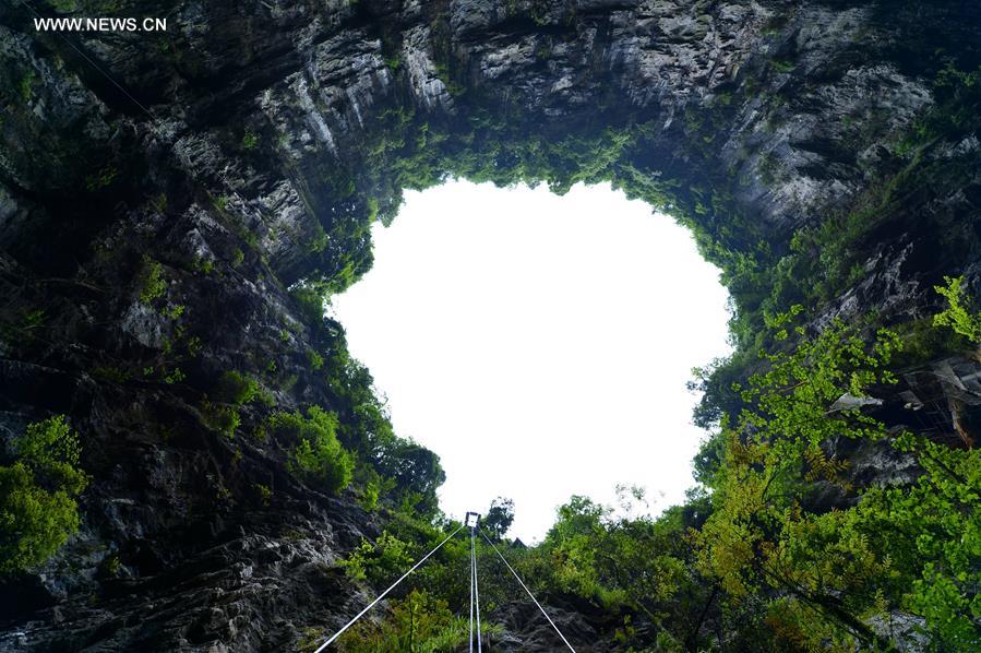 Unique ecosystem preserved in C China's karst cave