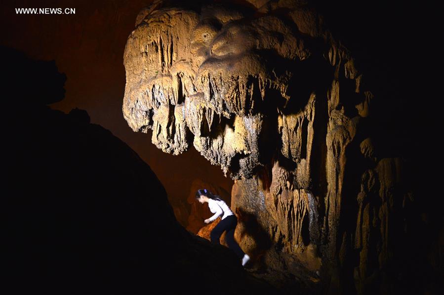 Unique ecosystem preserved in C China's karst cave