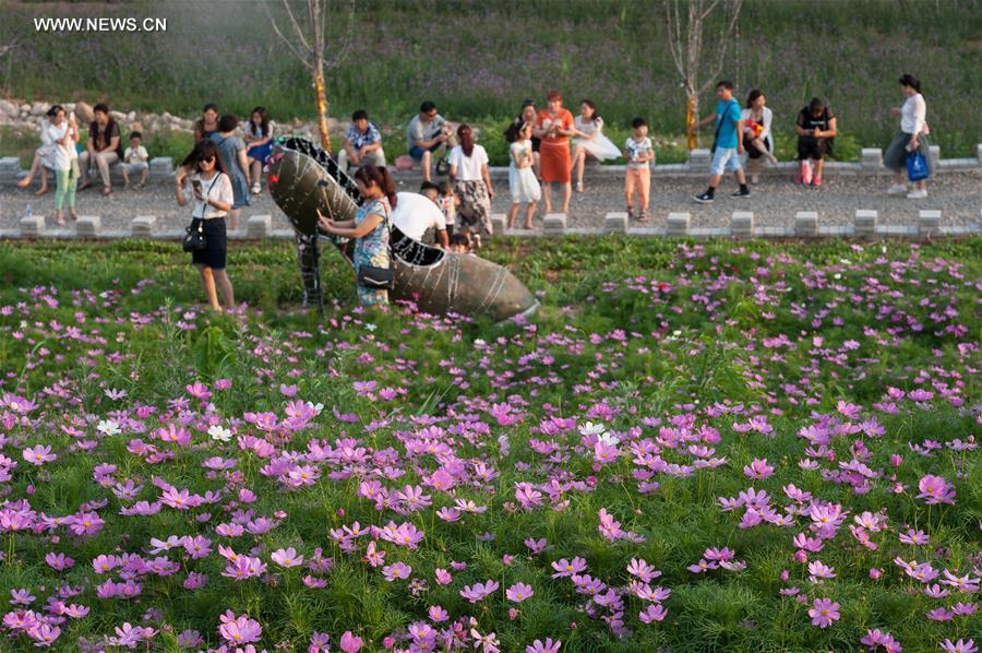 Flower festival held at Mountain Rao in C China's county
