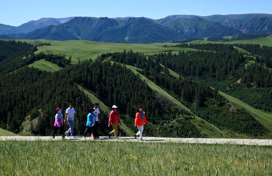 Kangle Grassland enters best season for tourism in summer