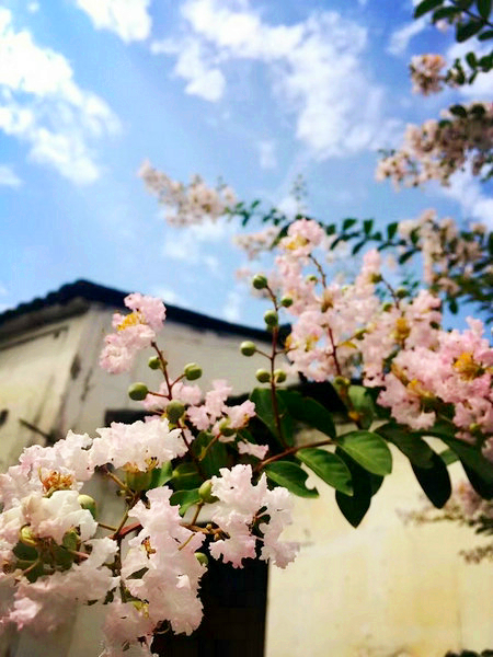 Autumn in Longmen town in Hangzhou