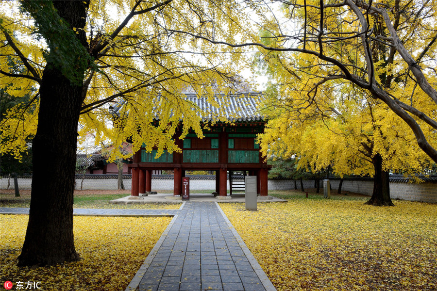 Top 10 travel destinations in Asia