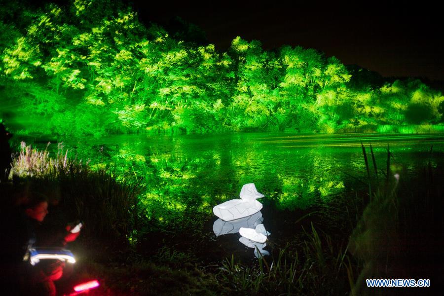 Come to experience wonderland of light