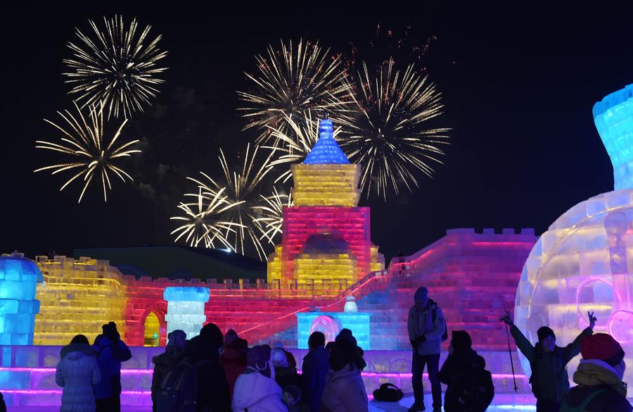 Harbin Ice and Snow World opened to public in NE China