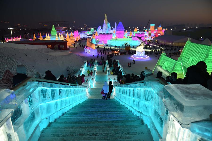 Harbin Ice and Snow World opened to public in NE China