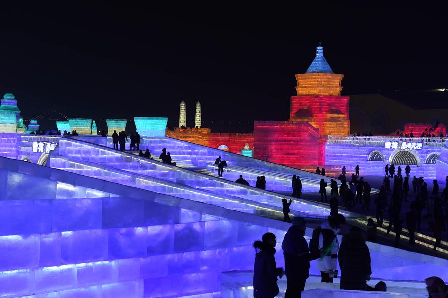Harbin Ice and Snow World opened to public in NE China