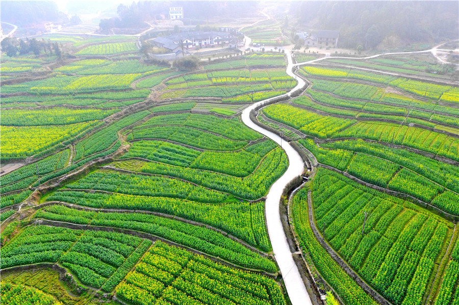 Spring returns to land as temperature rises