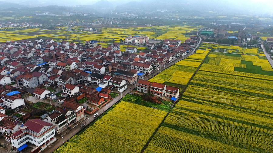 Spring scenery at the foot of Tiandang Mountain