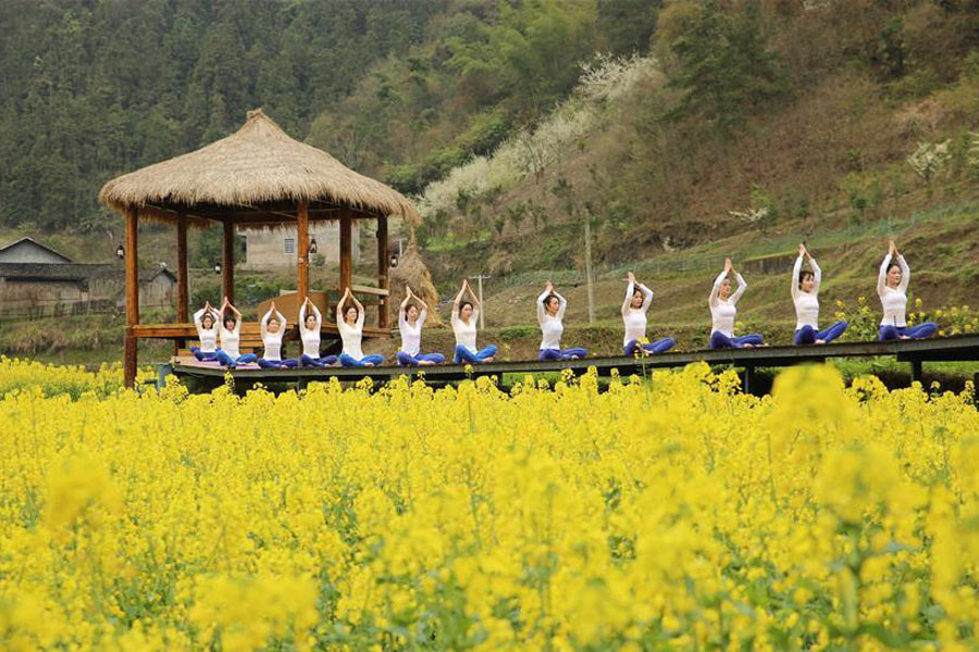 Yoga fans practise yoga on farmland of flowers in Zhangjiajie