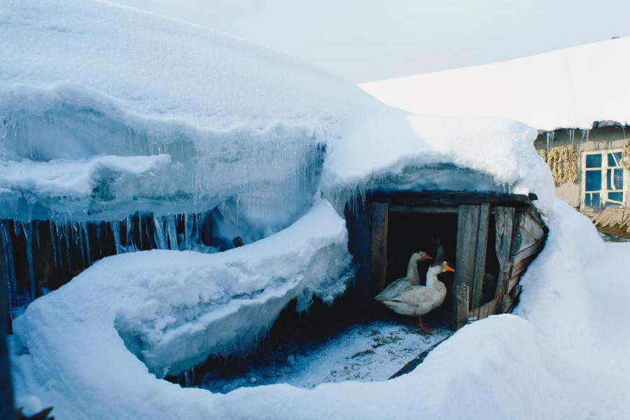 A snow-covered wonderland in Heilongjiang
