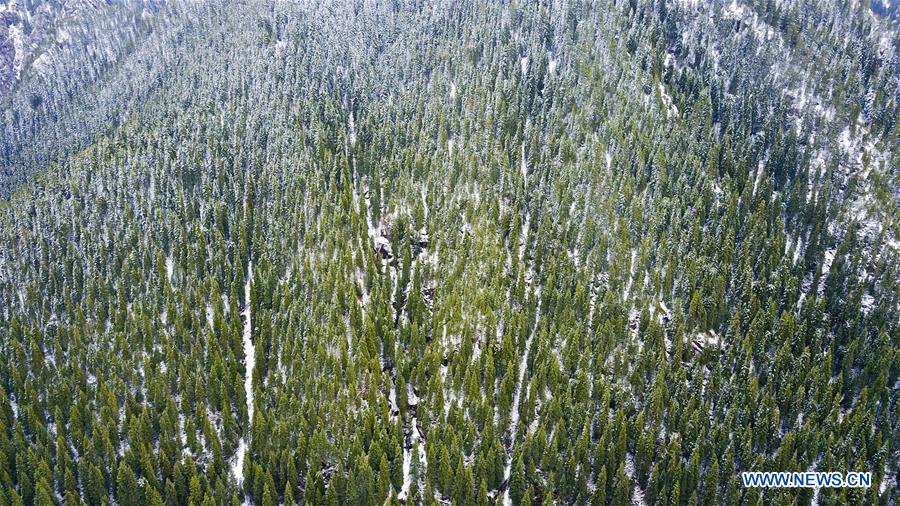 Snow scenery of Tianshan Mountains in China's Xinjiang