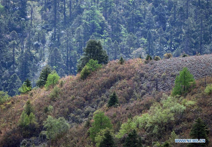 Amazing scenery in Lanping county, Yunnan