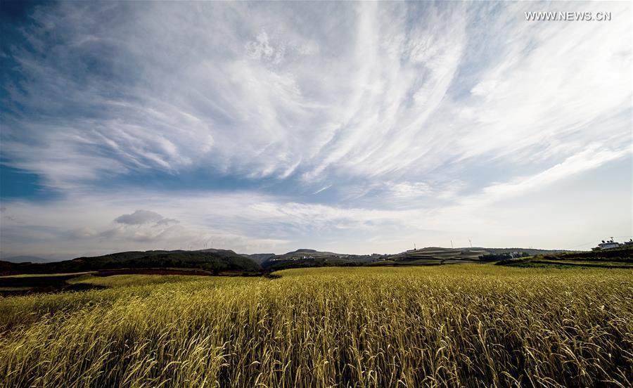 Scenery of Dongchuan Red Land in Yunnan