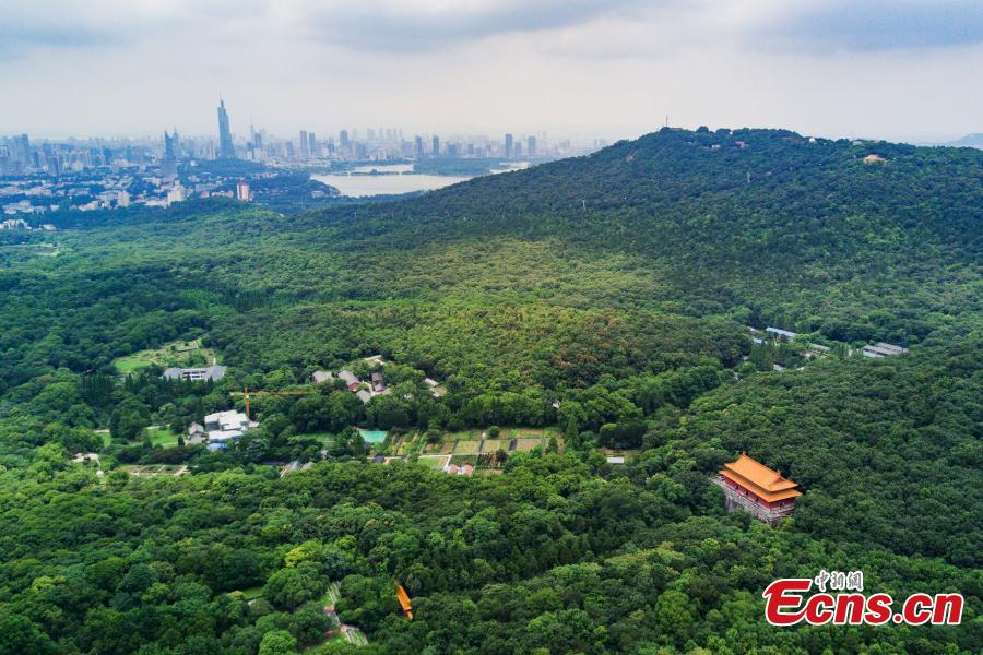 World Cultural Heritage - Xiaoling Mausoleum
