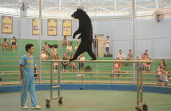 Circus with 24-year history in Guangzhou resists shutdown effort