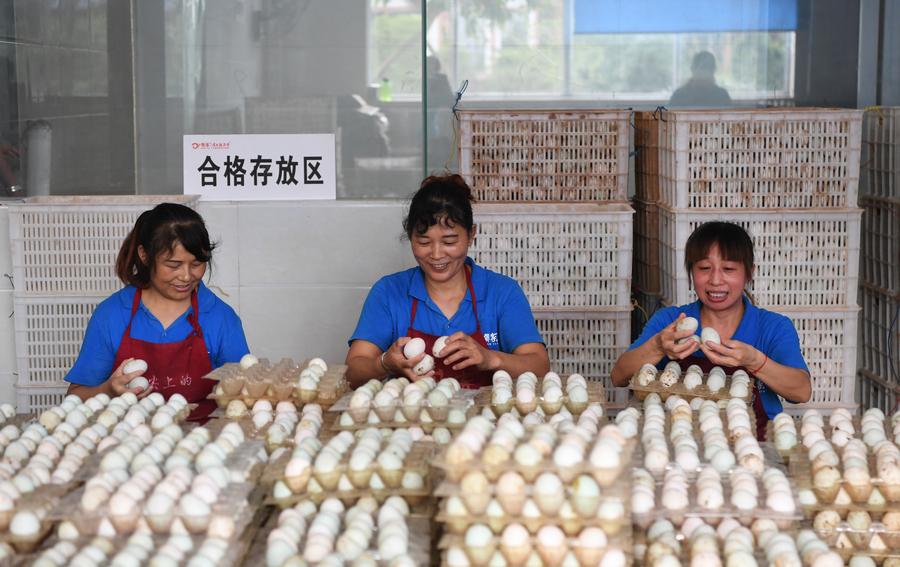 Chinese traditional food connects with Internet in SW China