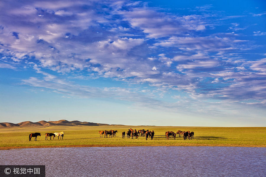 10 best wetland resorts for serene break