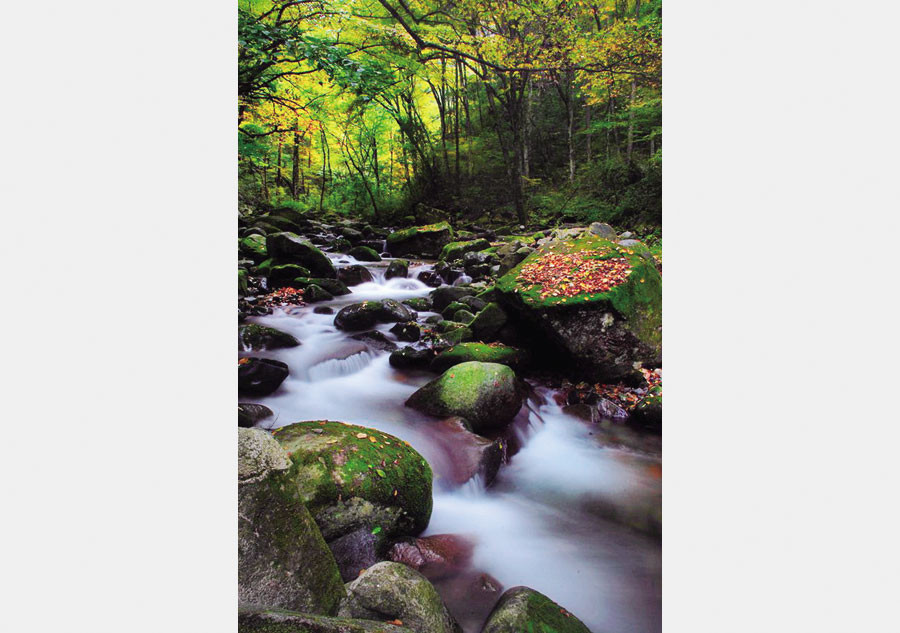 Rich colors of autumn in Taiyuan