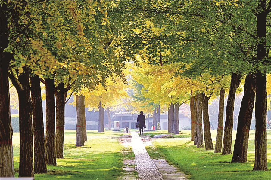 Rich colors of autumn in Taiyuan