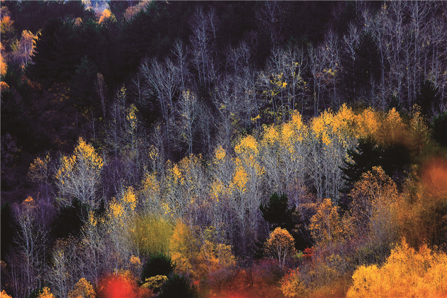 Rich colors of autumn in Taiyuan